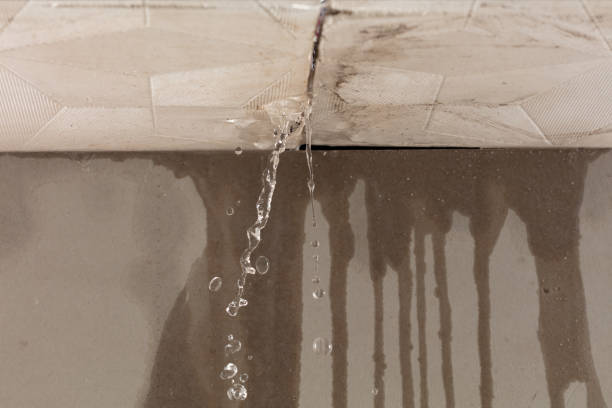 Professional Burst Pipe Cleanup technician working in Blue Ridge, VA